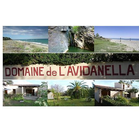 Domaine De L'Avidanella Apartamento Santa-Lucia-di-Moriani Exterior foto