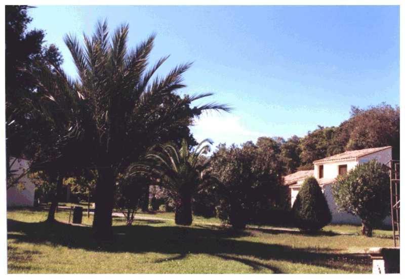 Domaine De L'Avidanella Apartamento Santa-Lucia-di-Moriani Exterior foto