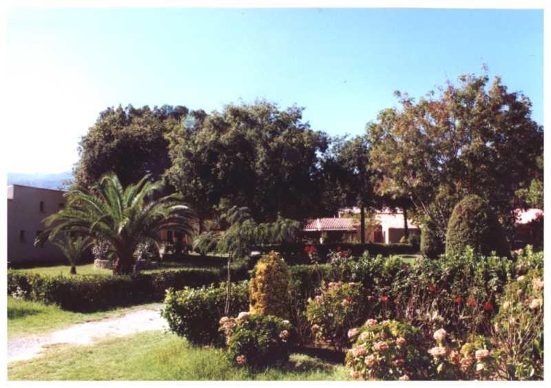 Domaine De L'Avidanella Apartamento Santa-Lucia-di-Moriani Exterior foto