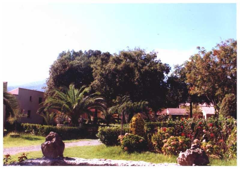Domaine De L'Avidanella Apartamento Santa-Lucia-di-Moriani Exterior foto