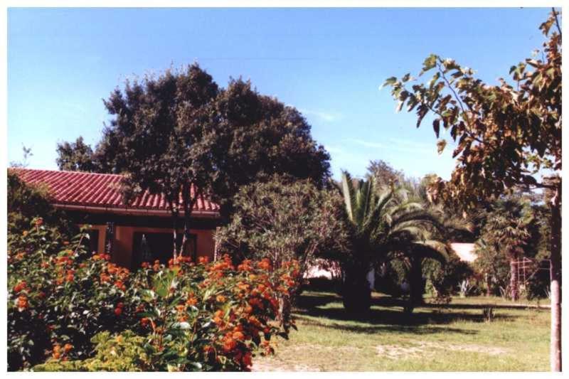Domaine De L'Avidanella Apartamento Santa-Lucia-di-Moriani Exterior foto