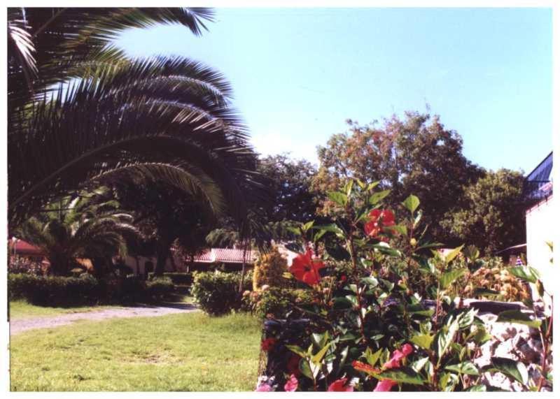 Domaine De L'Avidanella Apartamento Santa-Lucia-di-Moriani Exterior foto